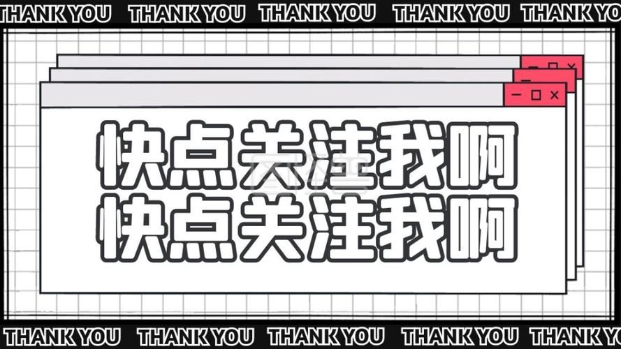 养猫常识100条,养猫必知的十条冷知识大全