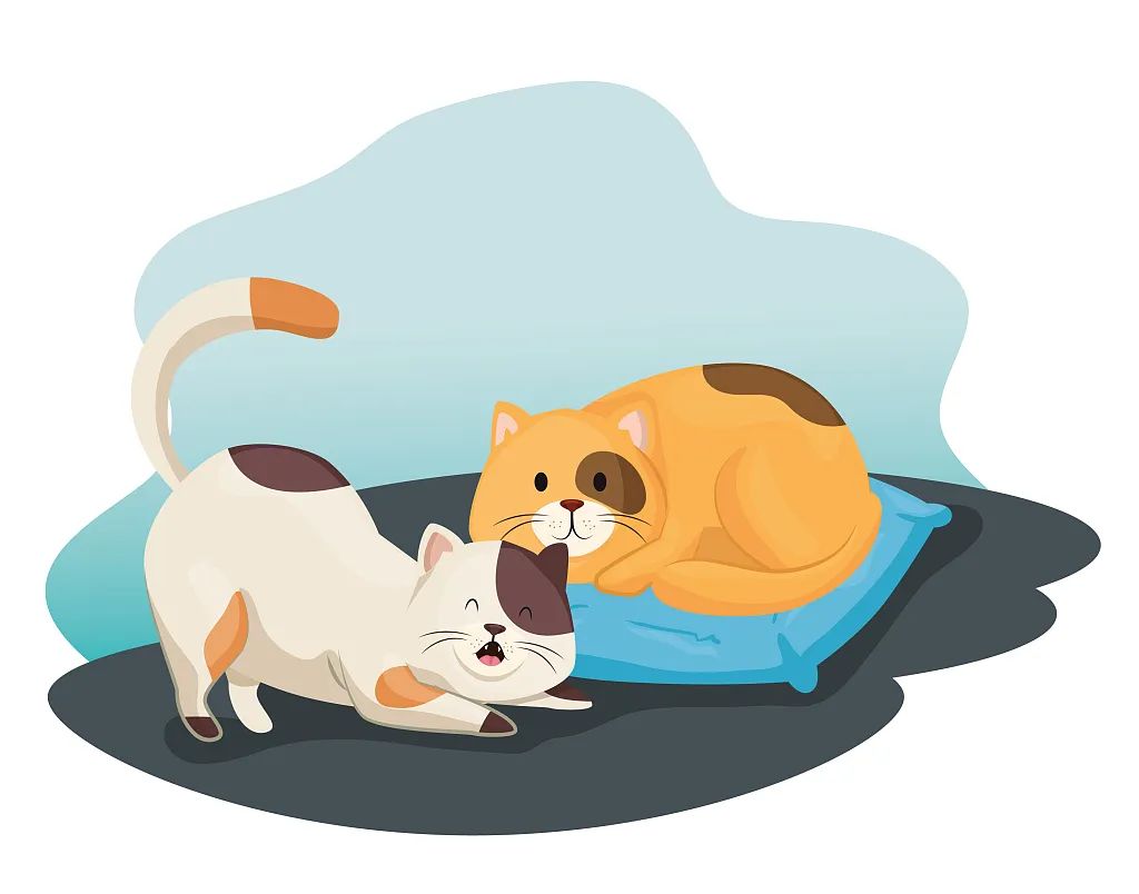 花近10万元买猫后和卖家发生纠纷，买家发吐槽帖引发大量围观，被卖家告了