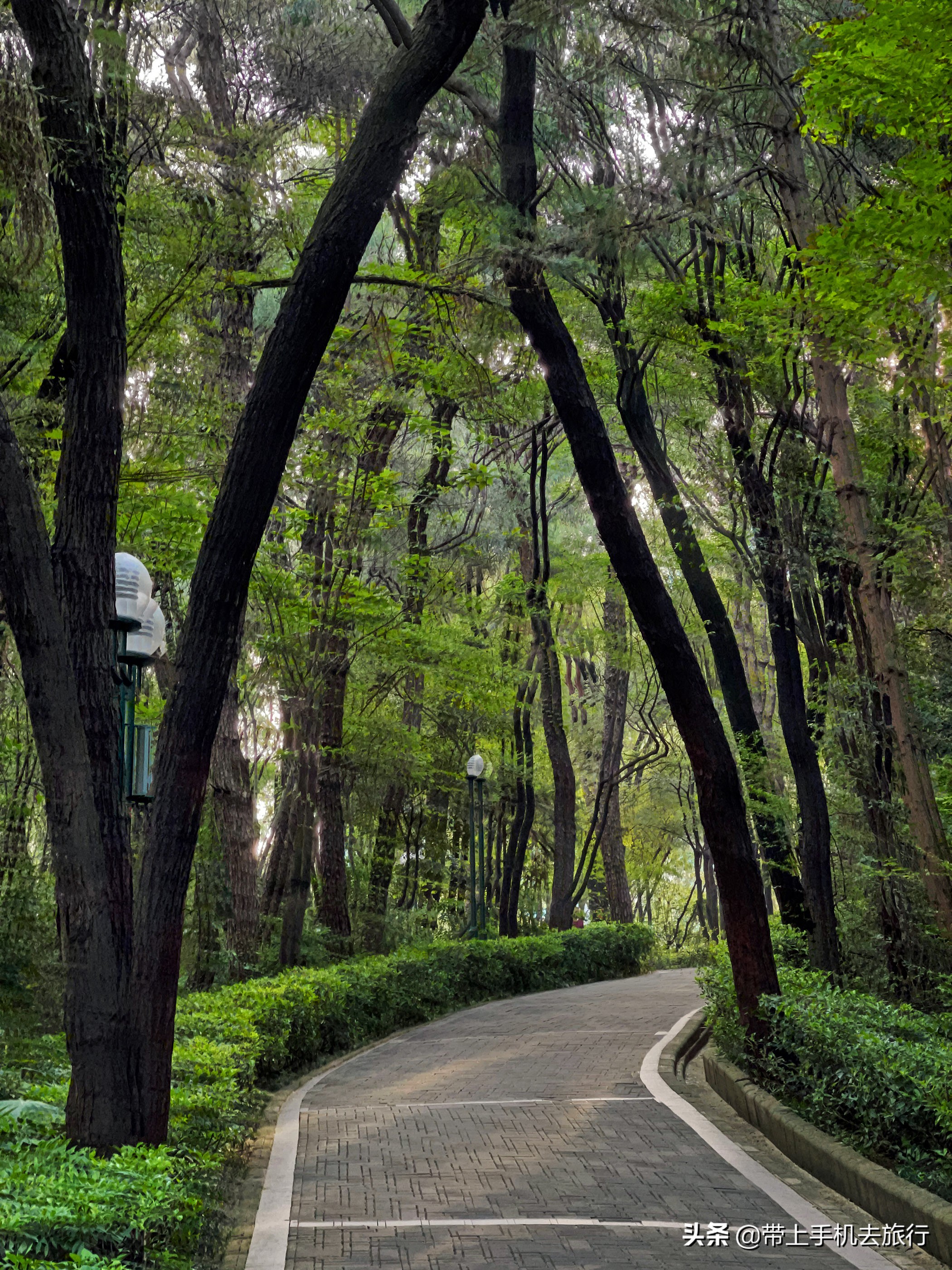 手机摄影怎么样用专业模式,手机摄影是怎么搞的