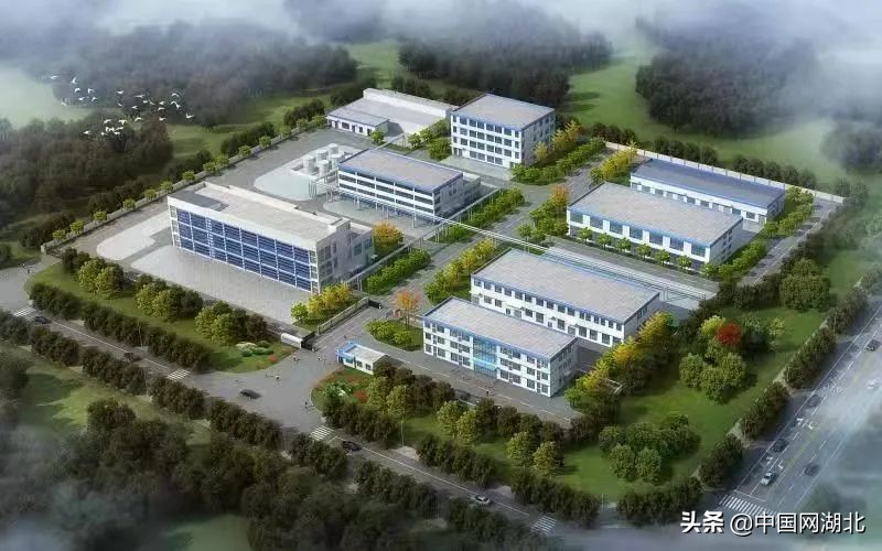 宜昌当阳重点项目开工,宜昌重大项目进度