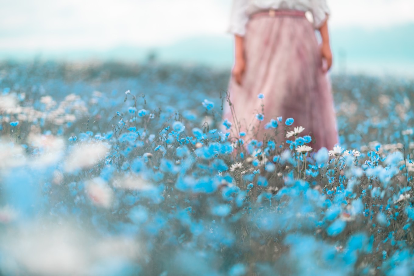 新疆伊犁之美,走了一圈才发现世界万物远不及你