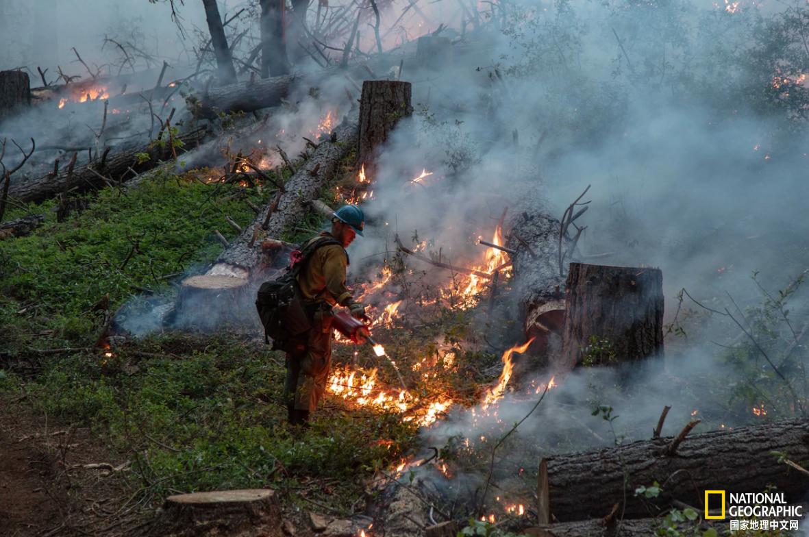 怎么防御森林火灾,如何对森林火灾进行扑救