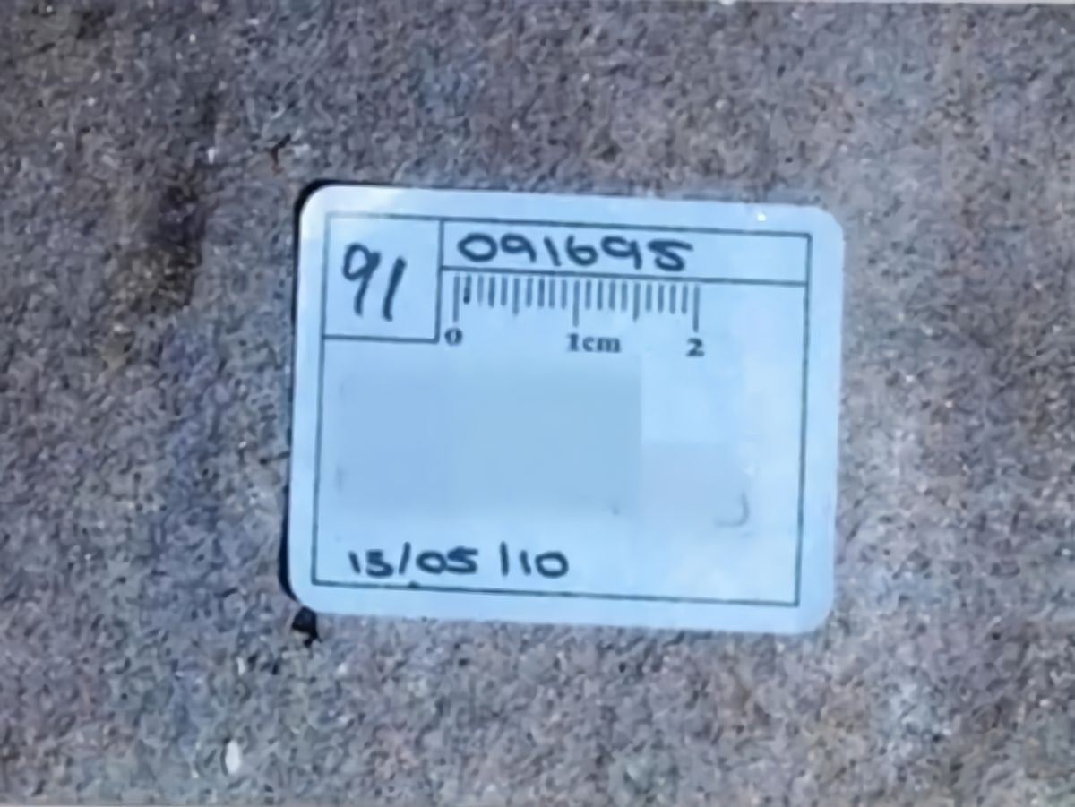 华人澳洲第一惨案,2009澳洲华裔灭门惨案结果