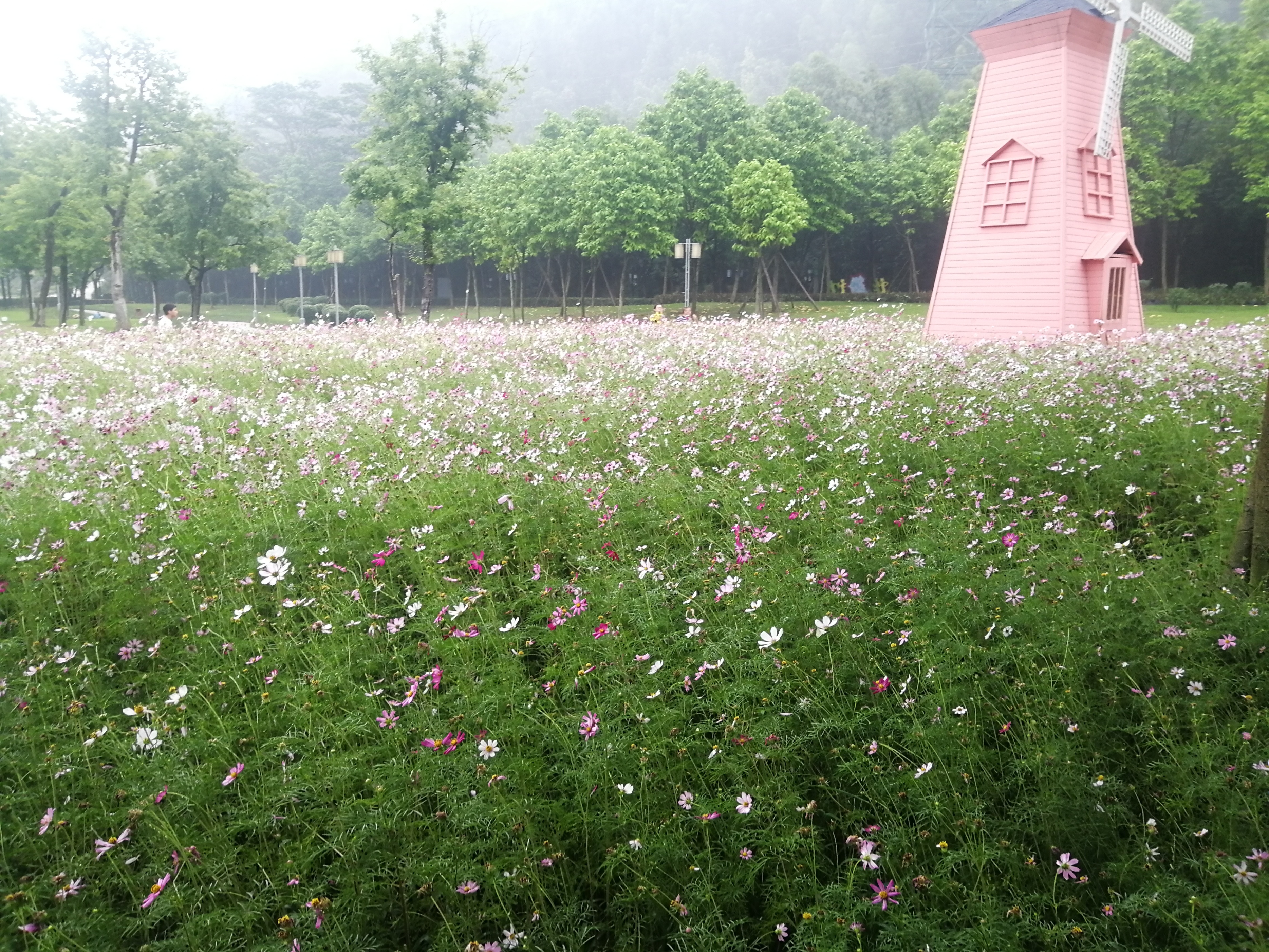 打卡广州地铁7号线,打卡广州最美7公里