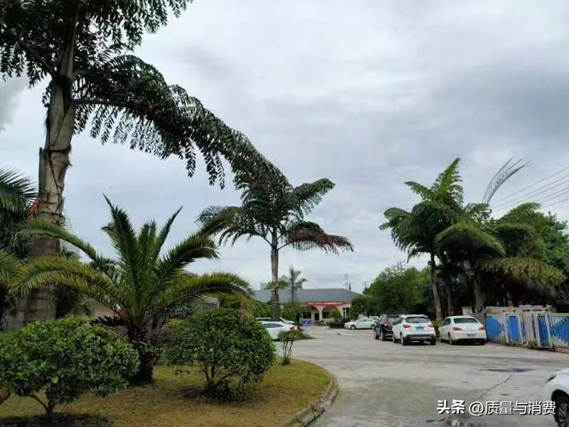 天际陶瓷为什么这么出名,天际陶瓷厂旗下品牌