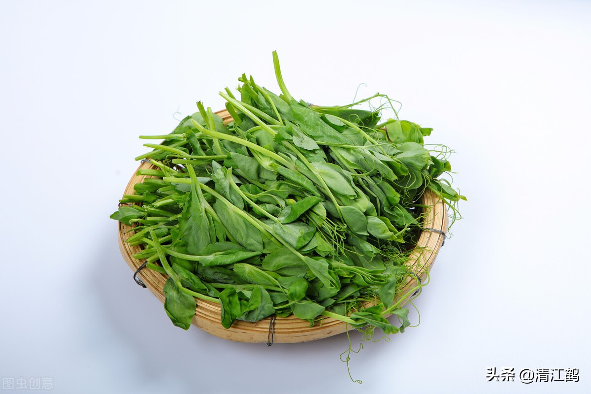 豆芽容易坏菜怎么办,豆芽生产常见问题解析