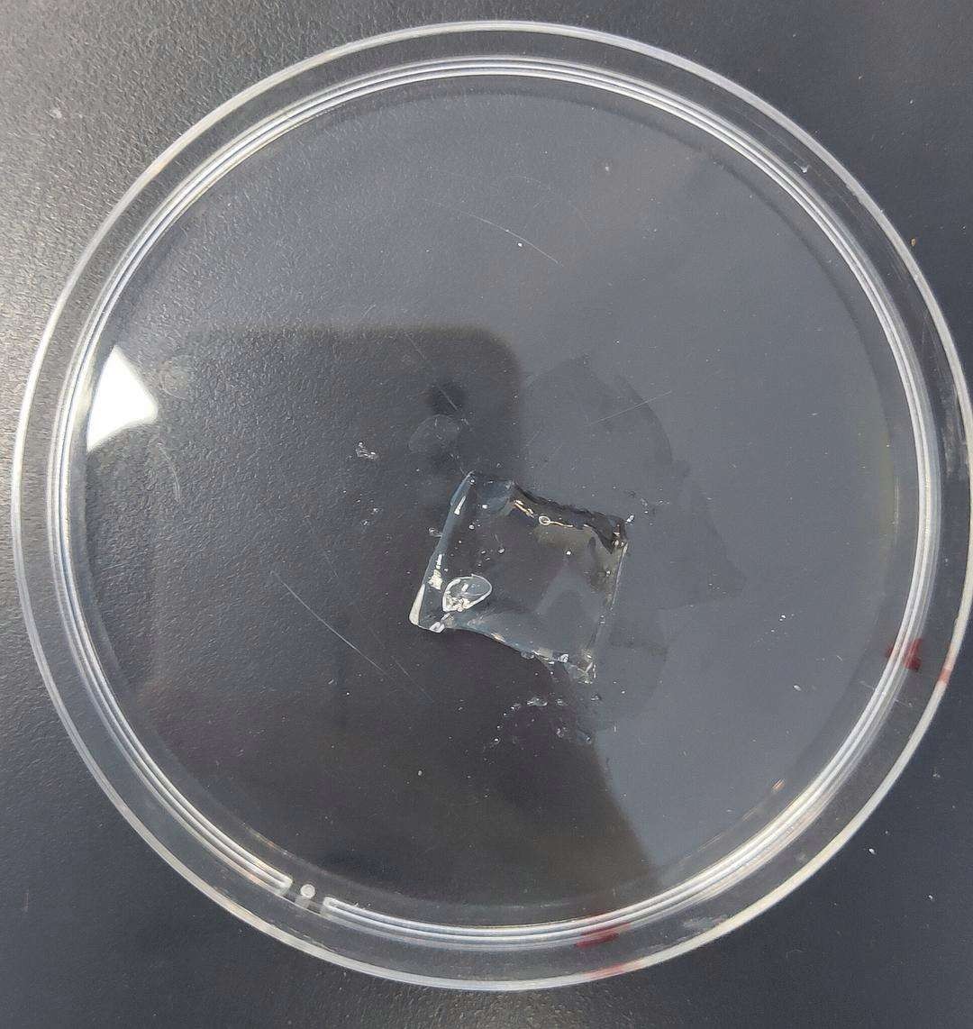 干细胞让心肌细胞重生,干细胞与器官再生能实现吗