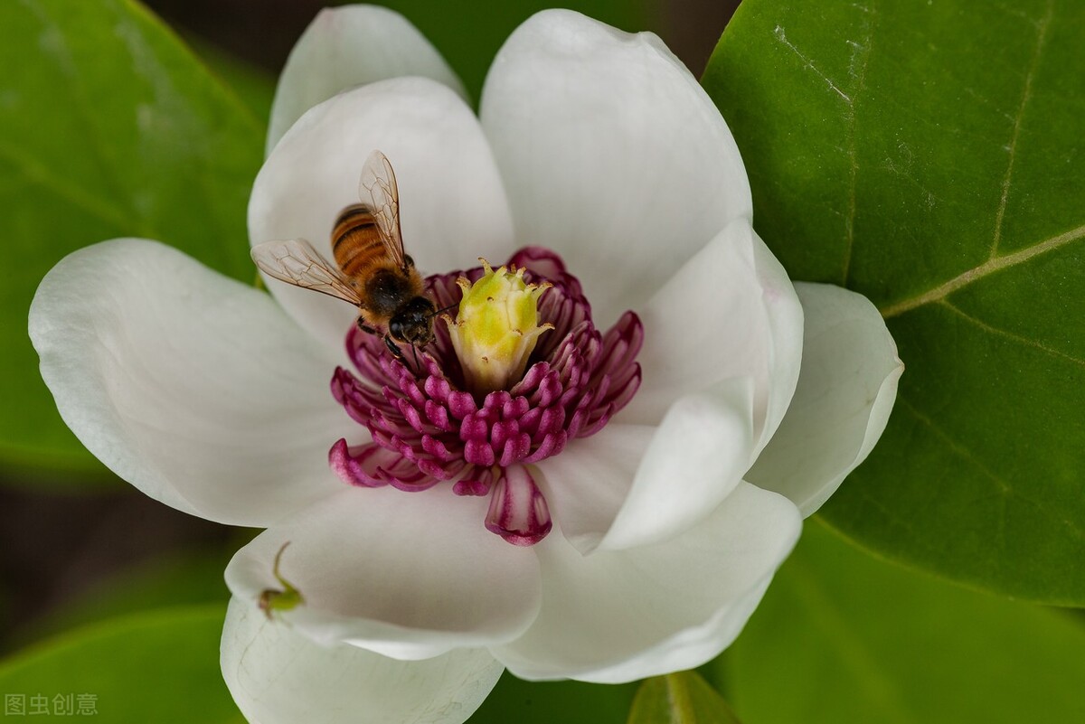 皮肤干燥粗糙暗沉用什么药膏,皮肤干燥暗沉有色斑怎么办