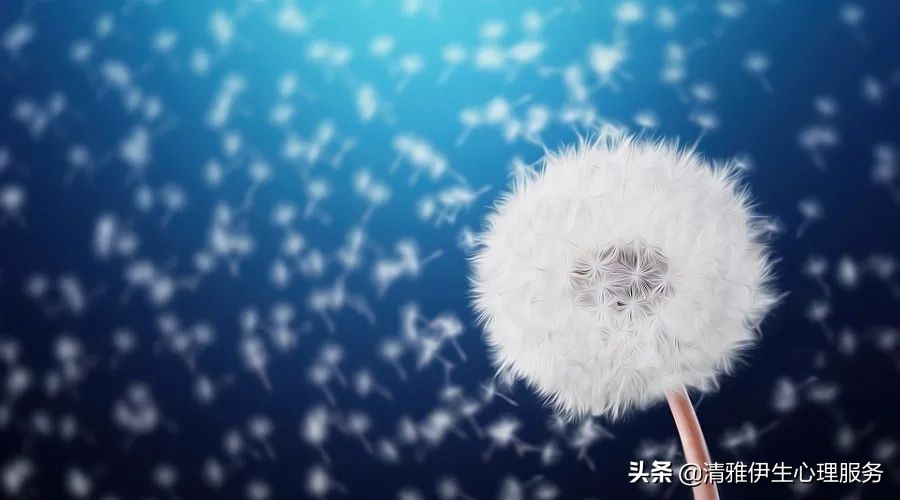 疗愈孩子心灵创伤的六句话,心理创伤如何彻底疗愈