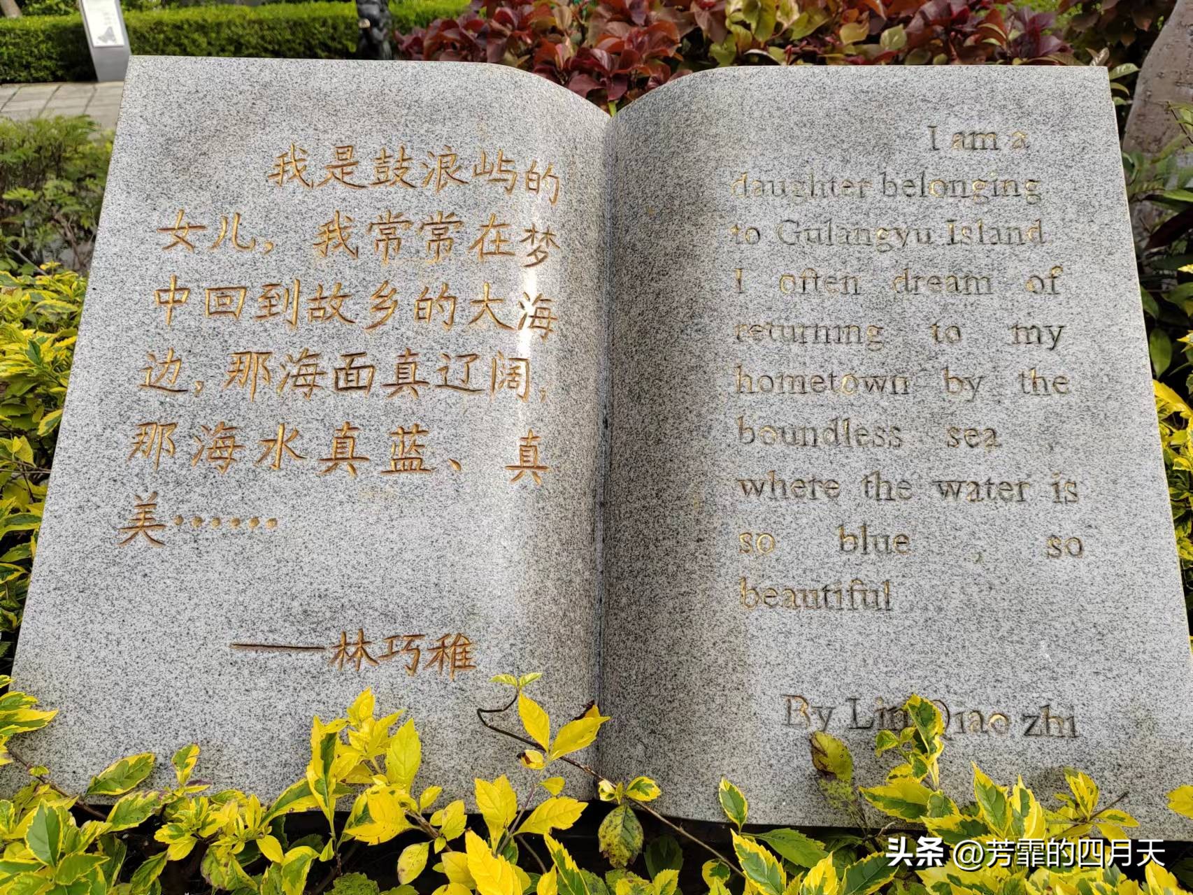 去了从小都梦想去的厦门,一年后到厦门别样的心情