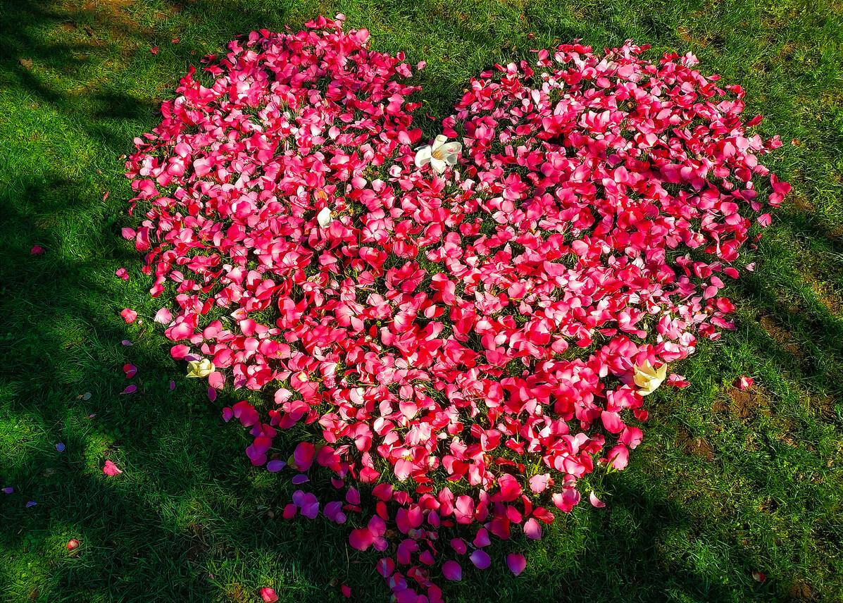 世界十大昂贵摩托,十大公认最贵骑的巡航摩托