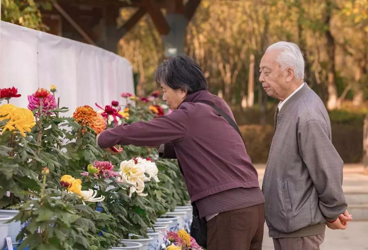 一次交谈让我醒悟，把父母送去旅居养老，比去养老院还要舒服