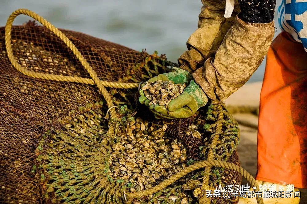 城阳青春足球场未来开放,青春足球场首秀