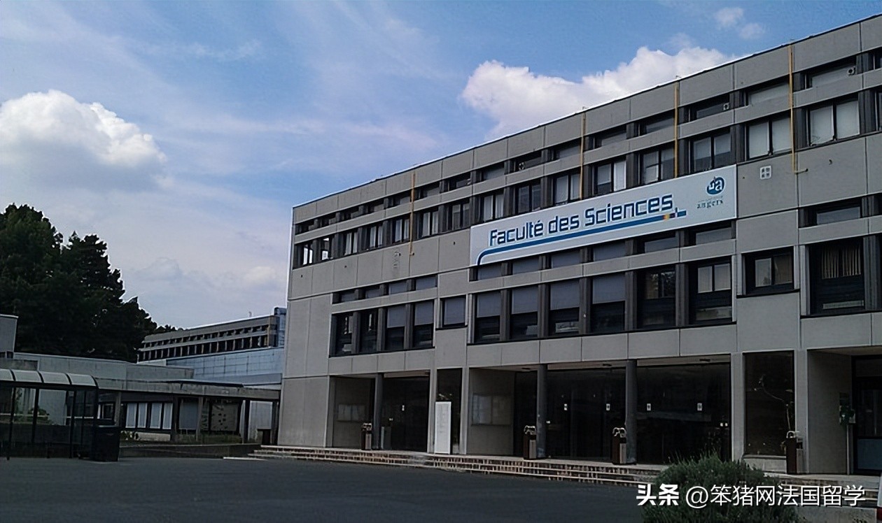 笨猪法语中文,笨猪法语