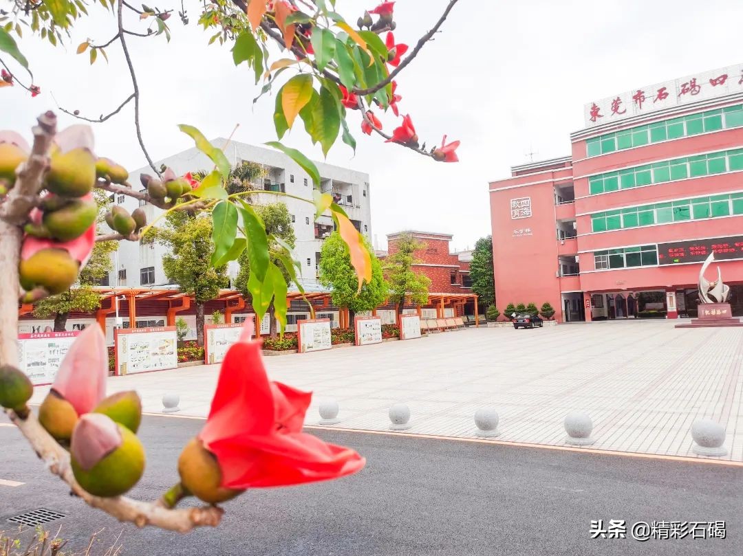 东莞四海学校招生简章,东莞石排四海学校怎么报名