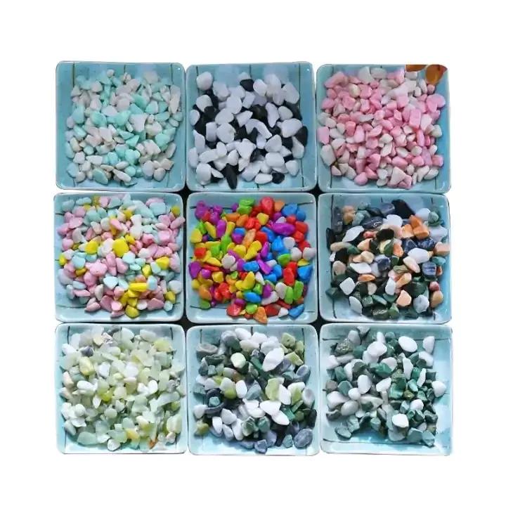 宠物水龟怎么养活得快些,新手养半水龟怎么养