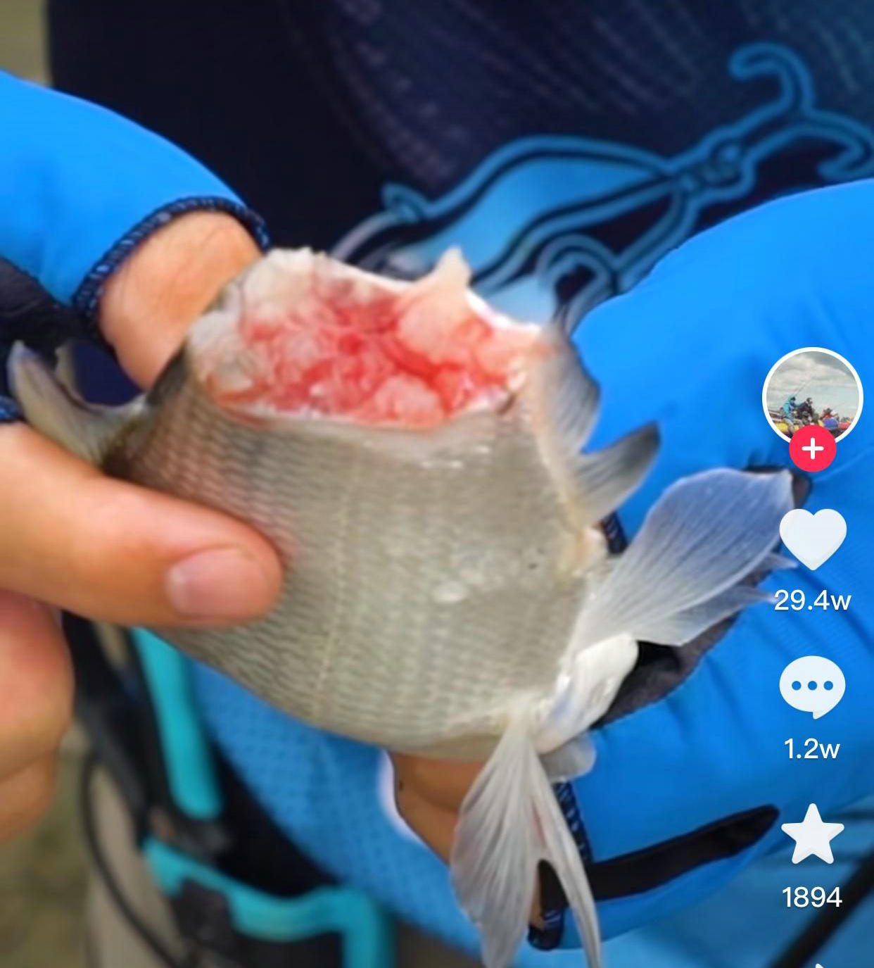 河里钓鱼鱼被咬了一半,钓鱼遇到被咬的鱼