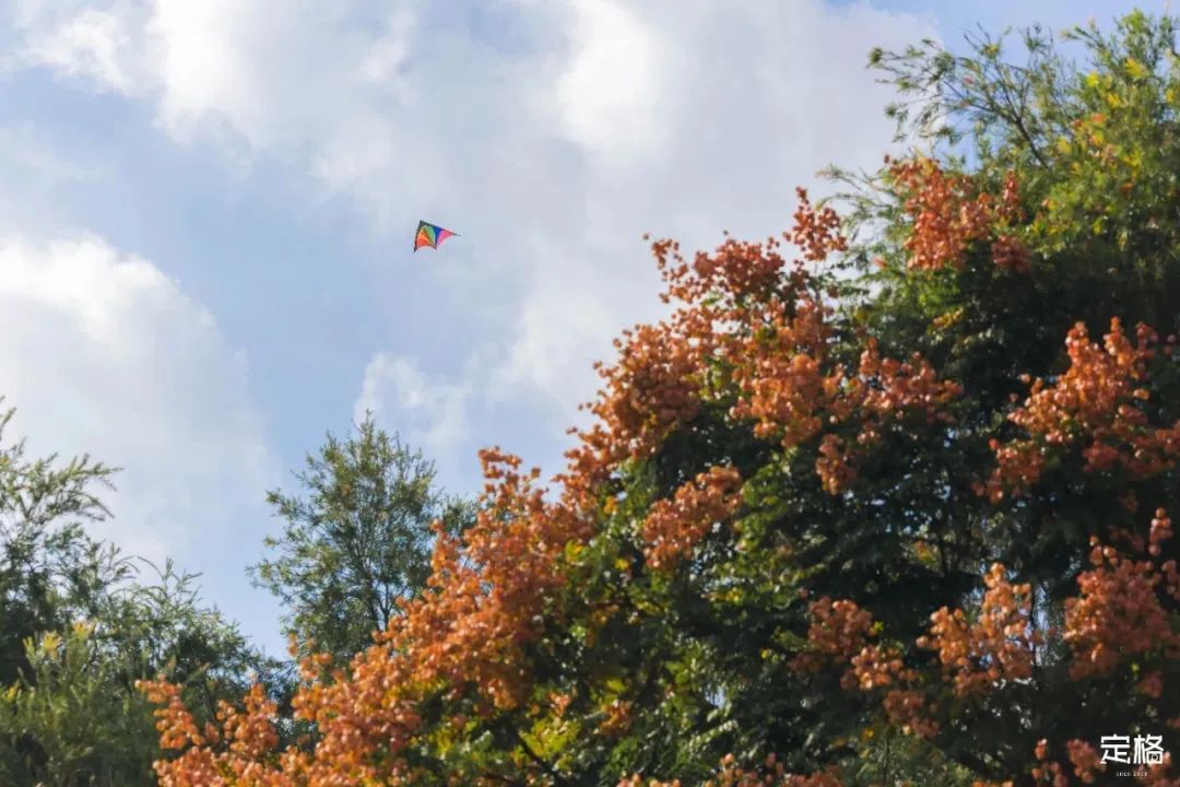 深圳免费露营的公园推荐,深圳22个露营公园