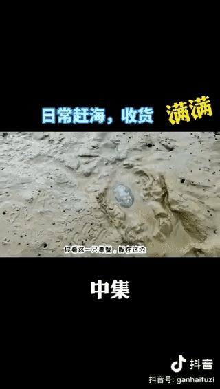 渔民儿子直播,赶海父子直播带货黄花鱼