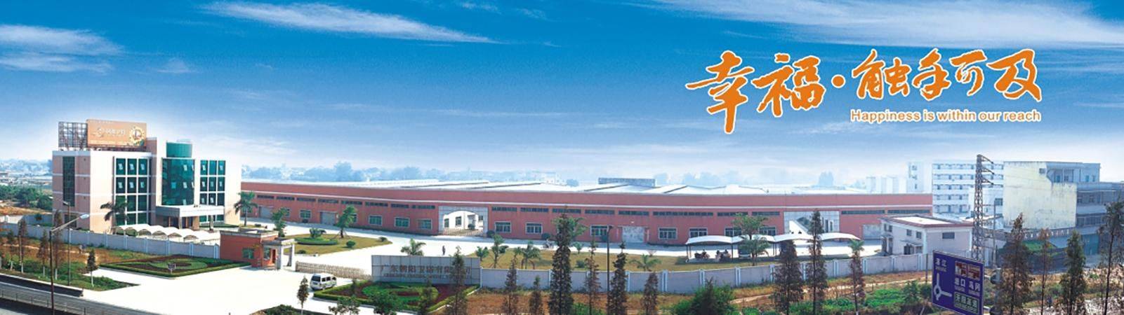 踔厉奋发启新程勇毅前行向未来朝阳卫浴30年发展回顾与2023年展望