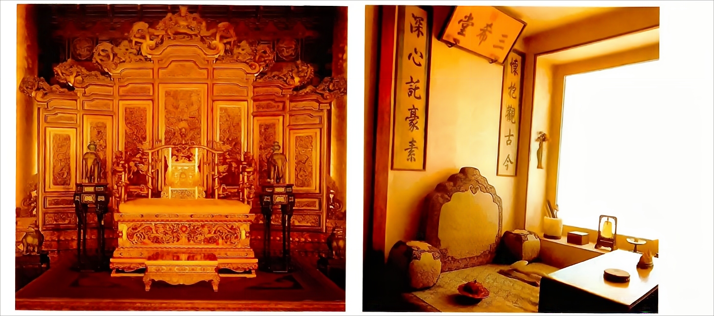 金丝楠树苗多少钱一棵50年能长大,金丝楠树价格多少钱一棵