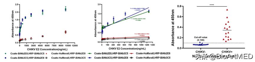 基孔肯雅热病毒是什么,基孔肯雅病毒要多久治好
