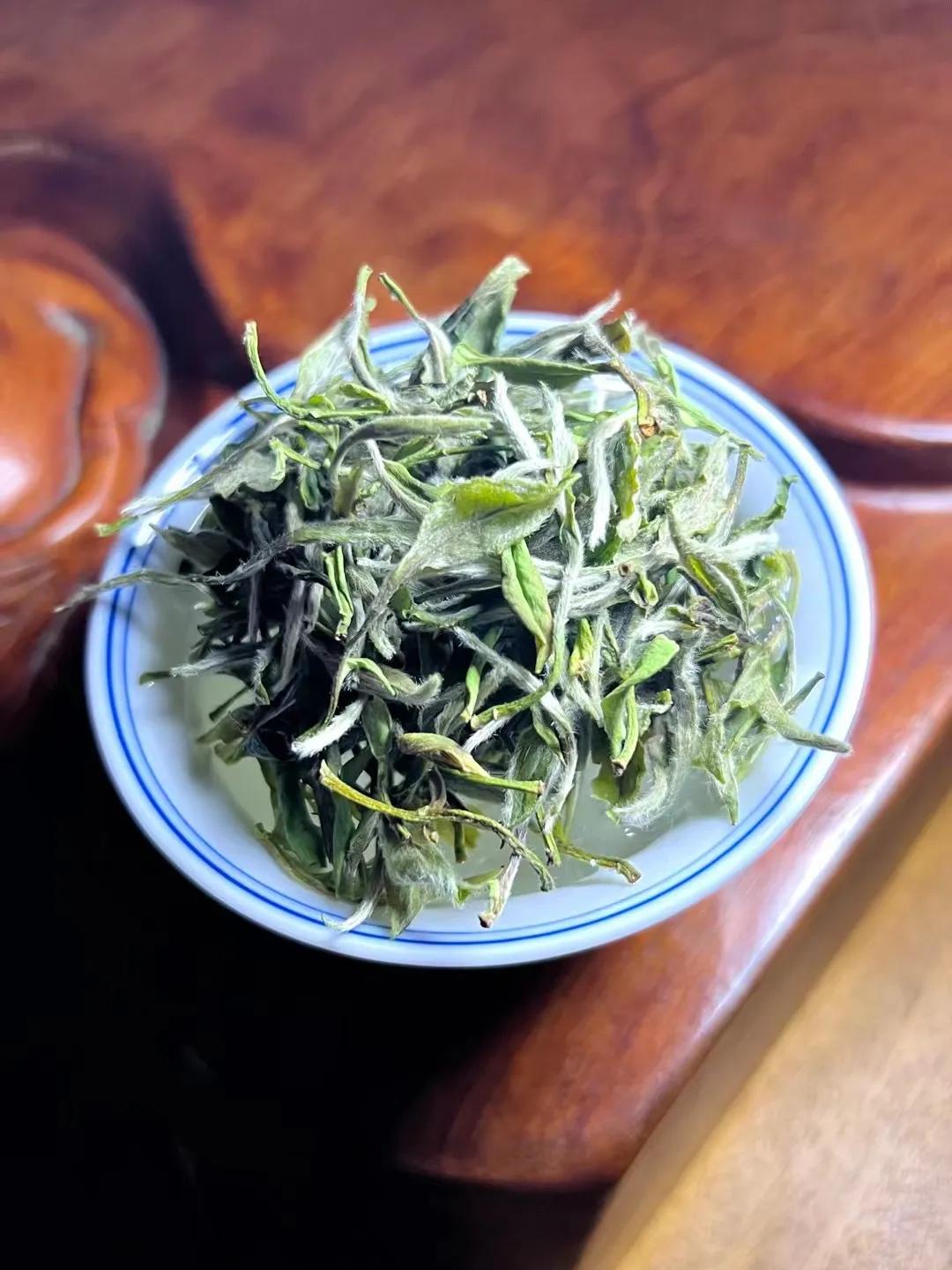 白茶初入门的新手如何能买到好茶,白茶新手入门必买