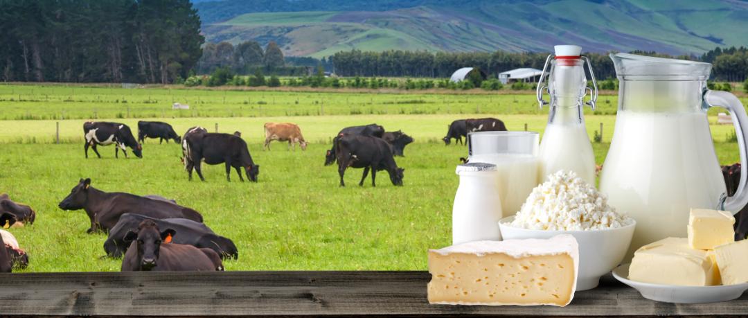 汤加海啸影响新西兰吗,汤加火山喷发致海啸完整