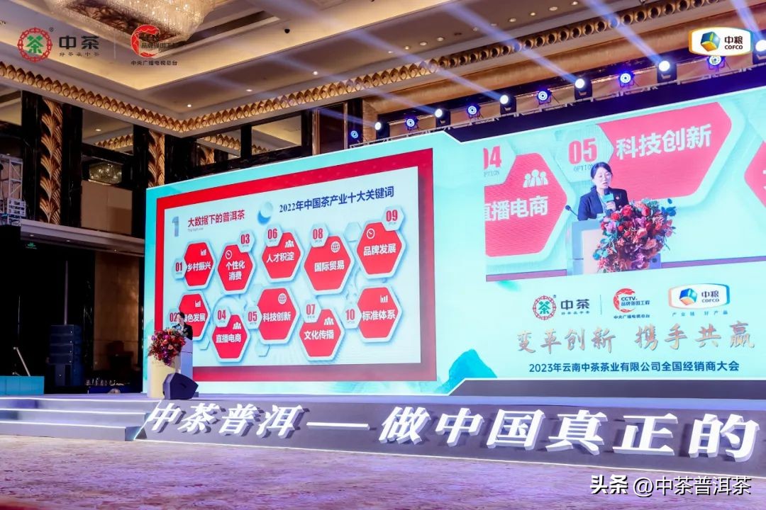 中茶普洱茶经销商信息大会,中茶2024年经销商大会