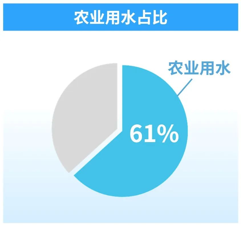 端牢中国饭碗的命脉在于水？节约一碗饭相当于节约28升水