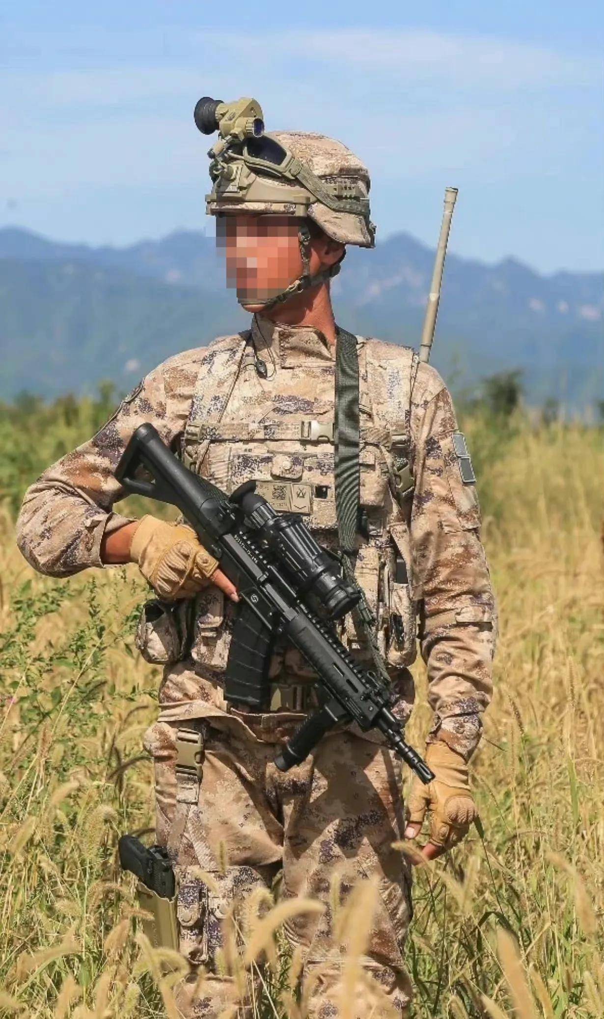 表现最优秀的十大步枪,10大知名步枪