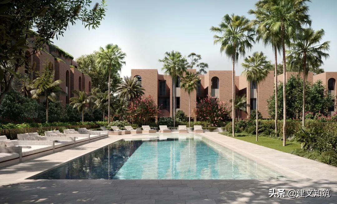 waf2023世锦赛,waf国内排名