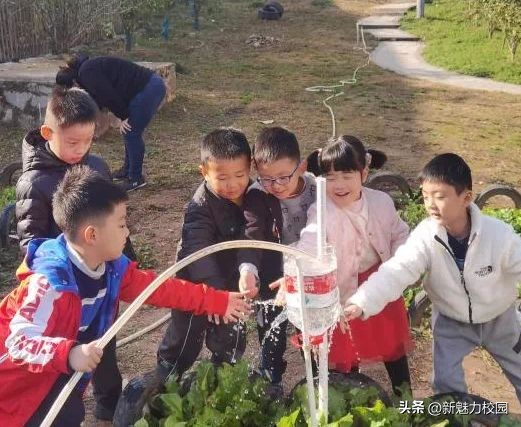 耕耘·我们的教育答卷雨花台区学校特色与品牌系列报道14