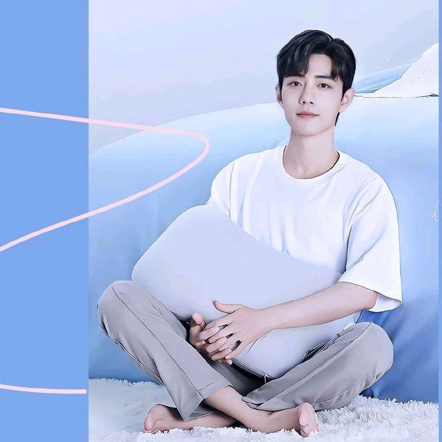 肖战盛阳杀青后接什么戏,盛阳肖战路透