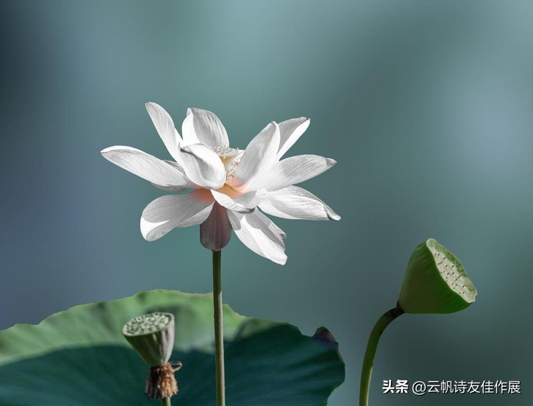 当代优秀诗词歌赋,现代诗词原创作品欣赏