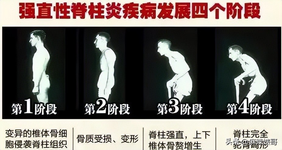 金晨模仿卡塔尔小王子自拍,金晨模仿卡塔尔王子自拍引热议