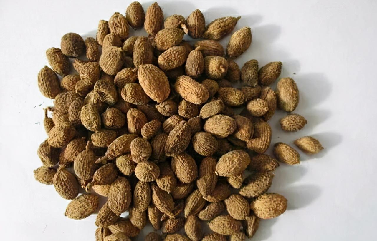 一吃东西就胃胀腹胀中医辨证,吃得多腹胀吃什么健脾的