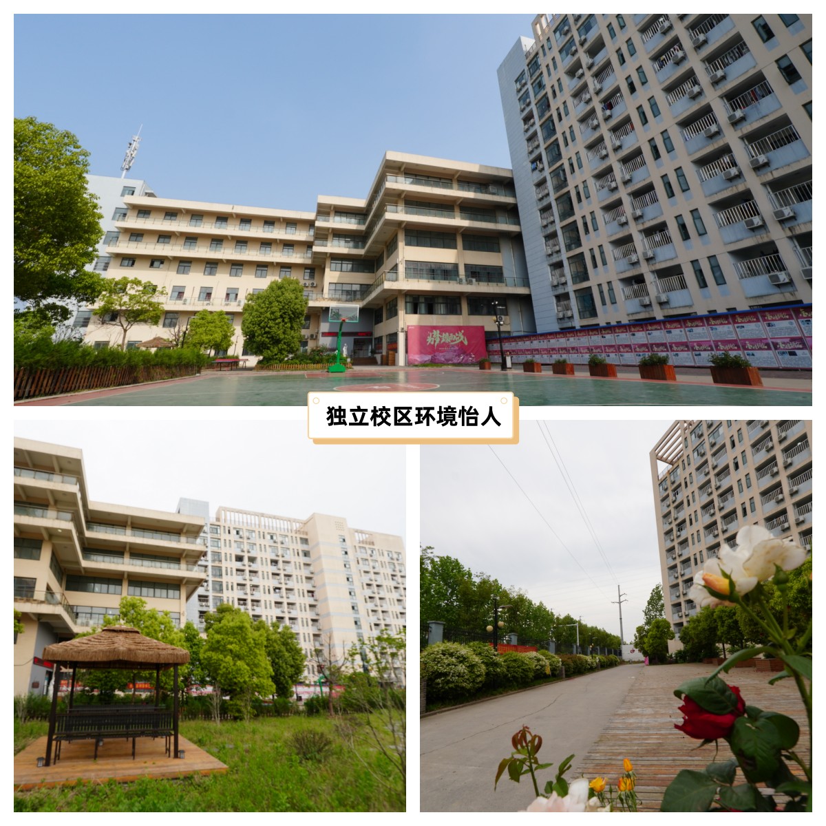 2023年考研政治教材大改吗,新大纲下的考研政治如何复习