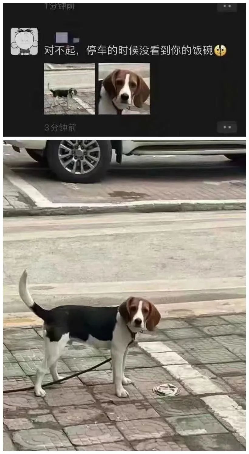 2023年全网点赞最多的搞笑段子,23年网络热门搞笑段子