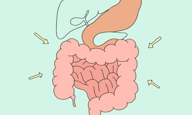 腹泻分几种类型分别如何对症用药,腹泻怎样正确选用药物
