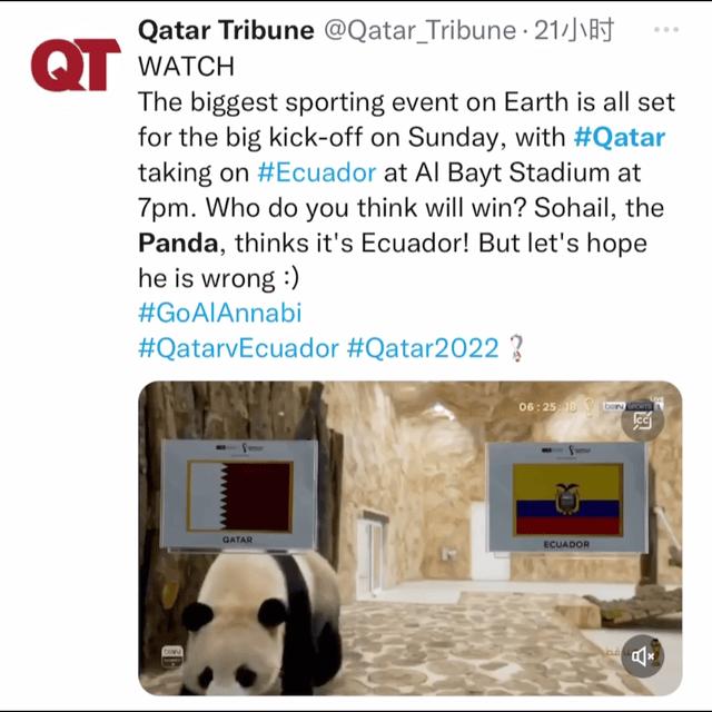 世界杯哪些人受伤了,世界杯强队集体翻车