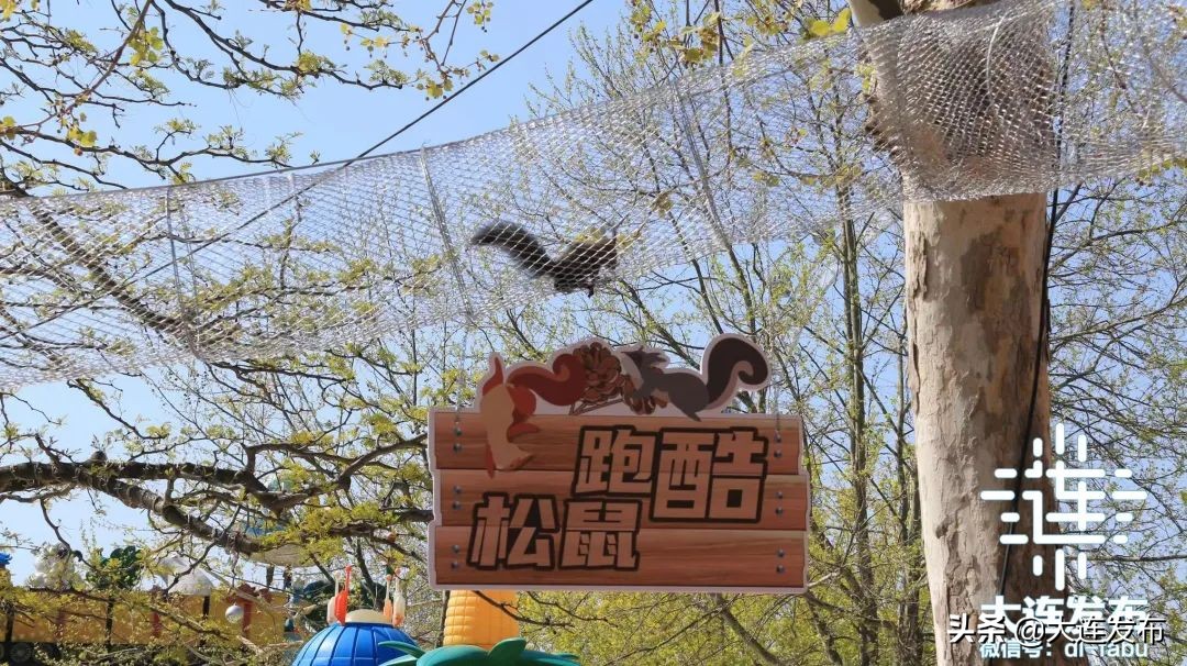 大连端午节一日游好玩的地方推荐,端午旅游景点大连