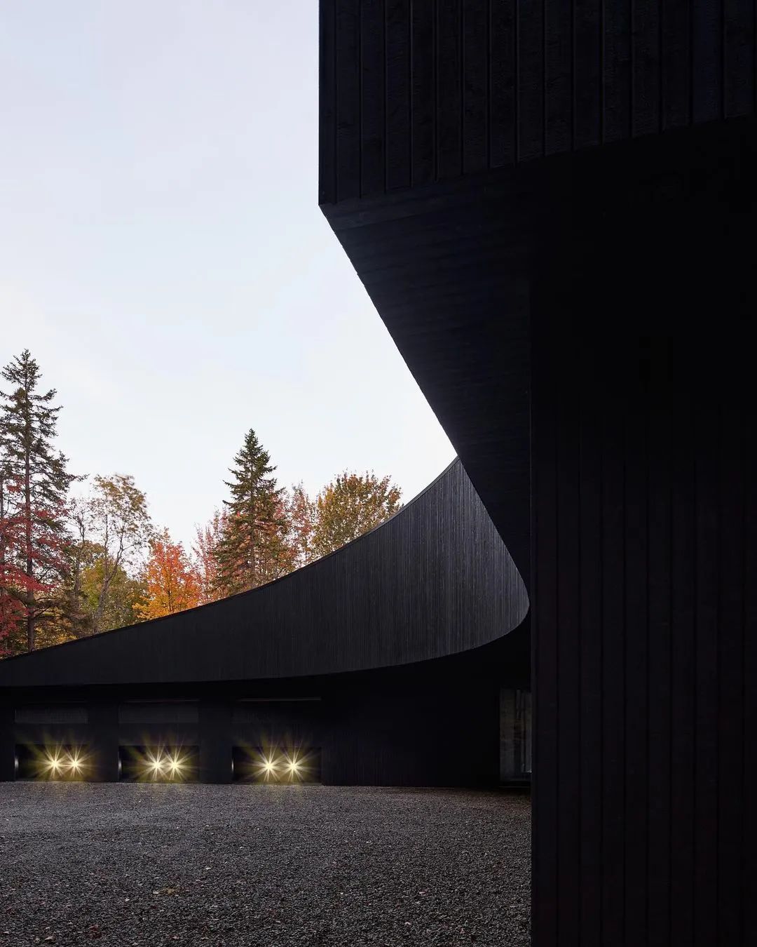 他们把家搬到了森林里，一间森林