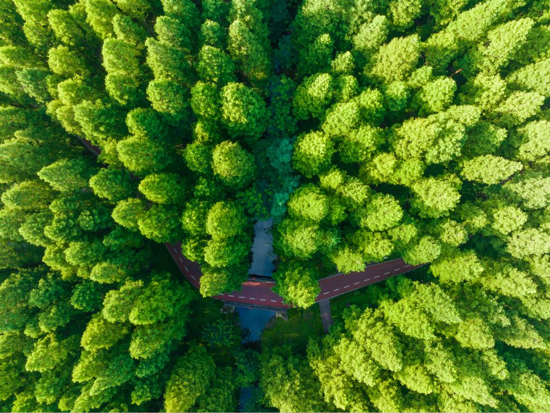 如果你要写东台，就不能只写东台~