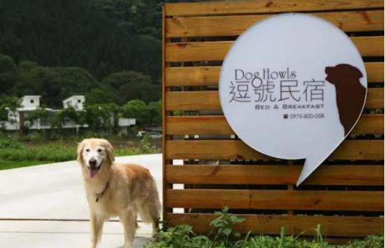 台湾旅行民宿推荐,台湾民宿值得去吗