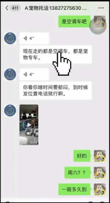 宠物托运出意外谁负责,宠物托运出问题是谁的责任