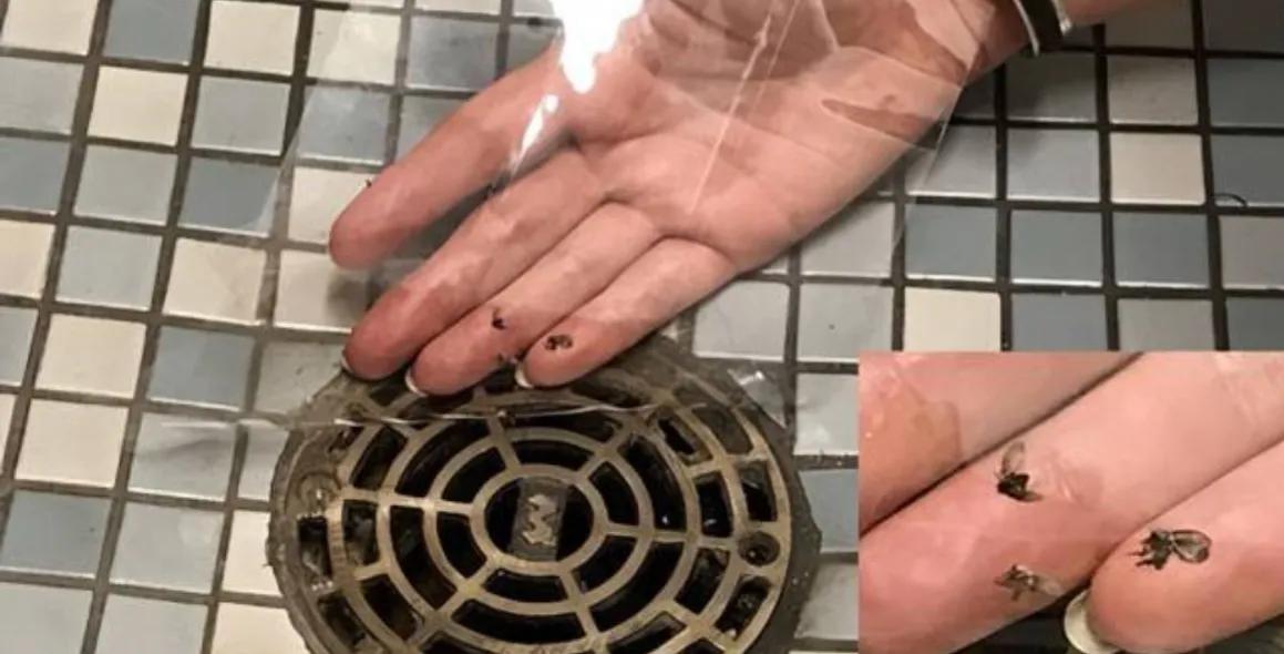 卫生间下水道反臭气解决小妙招,卫生间臭气熏天太难闻的几种原因