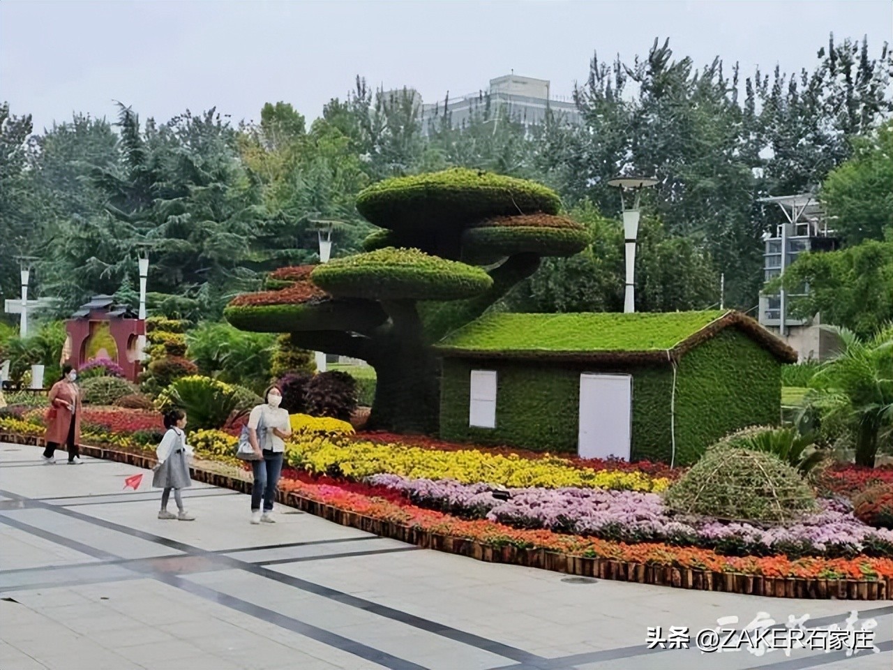 石家庄发布地震灾害预警,预警提示气象灾害河北石家庄