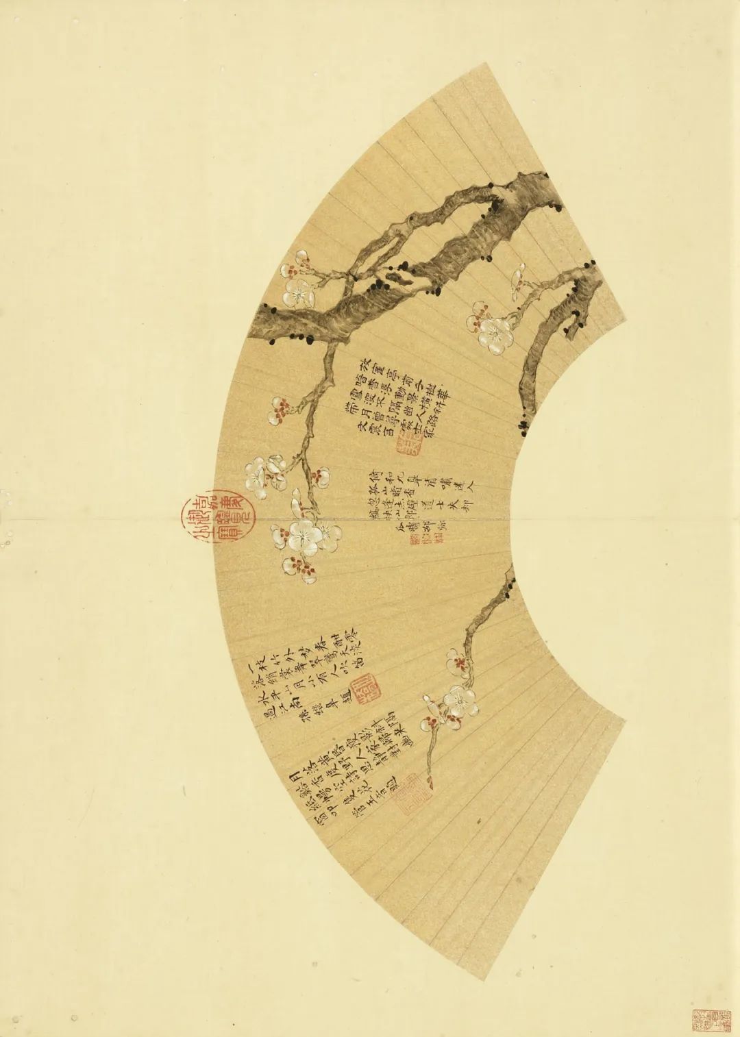 慕容看世界的视频,慕容看世界所有视频