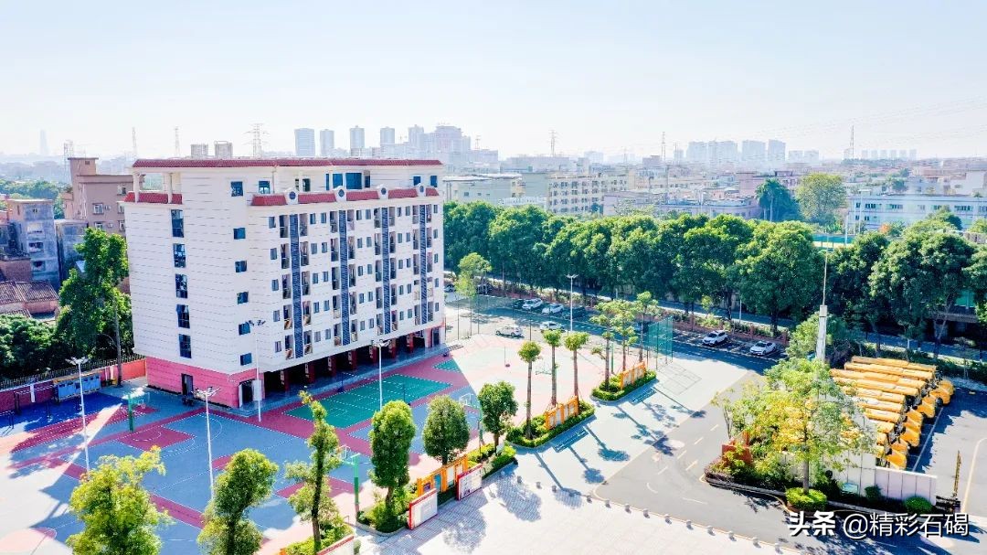 东莞石排四海学校招生,石碣四海学校